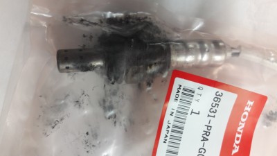 20190302_185003.jpg