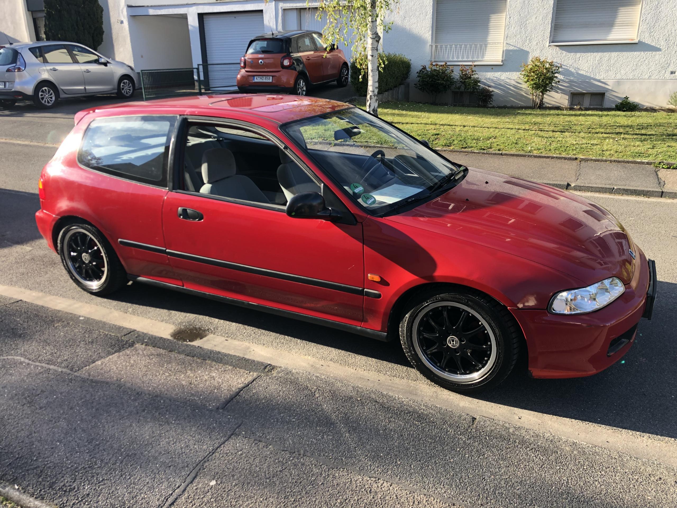 IMG_5137.jpeg