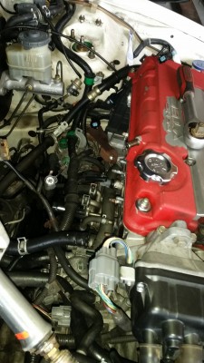20190427_152854.jpg
