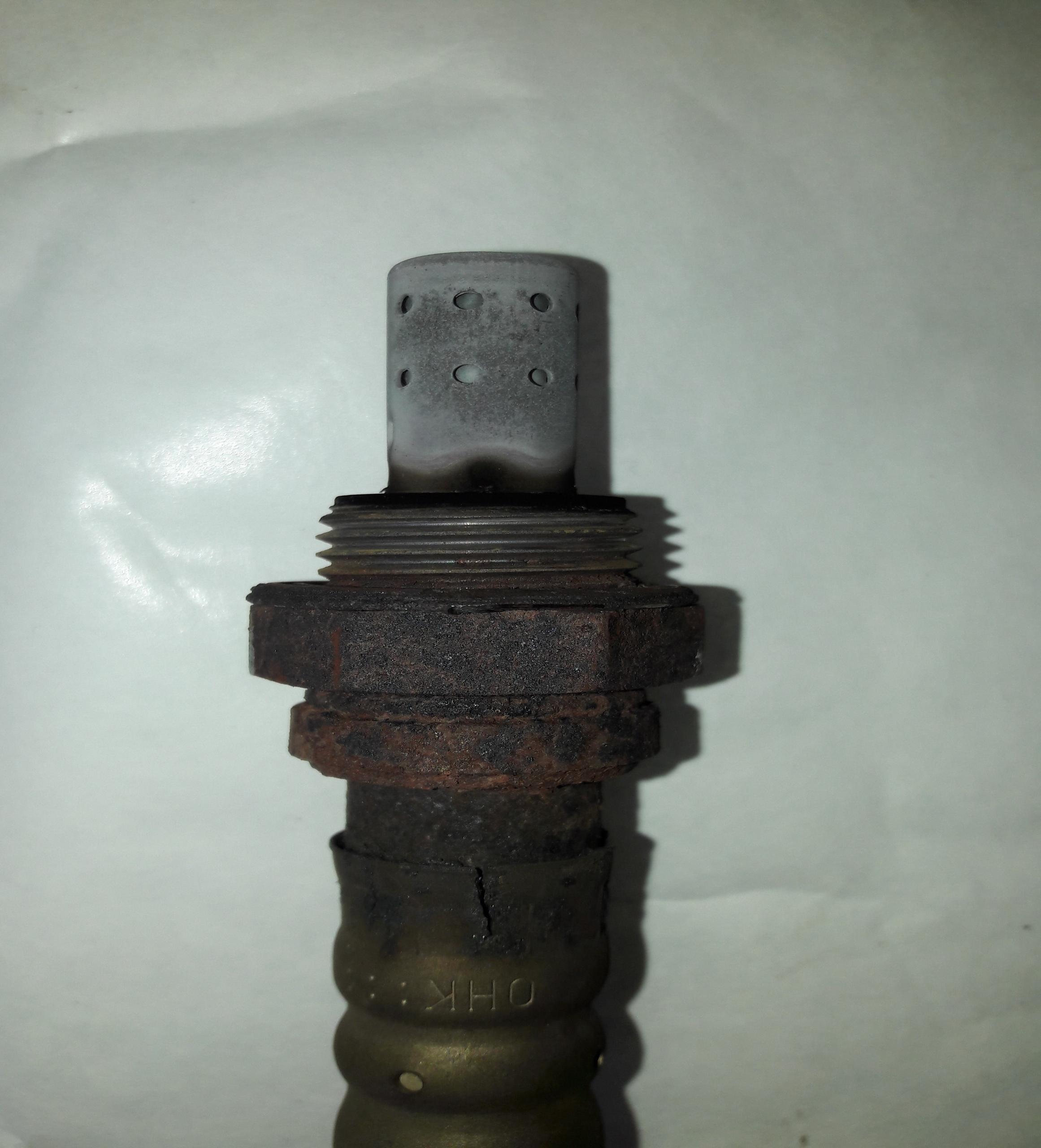 20190530_114130.jpg