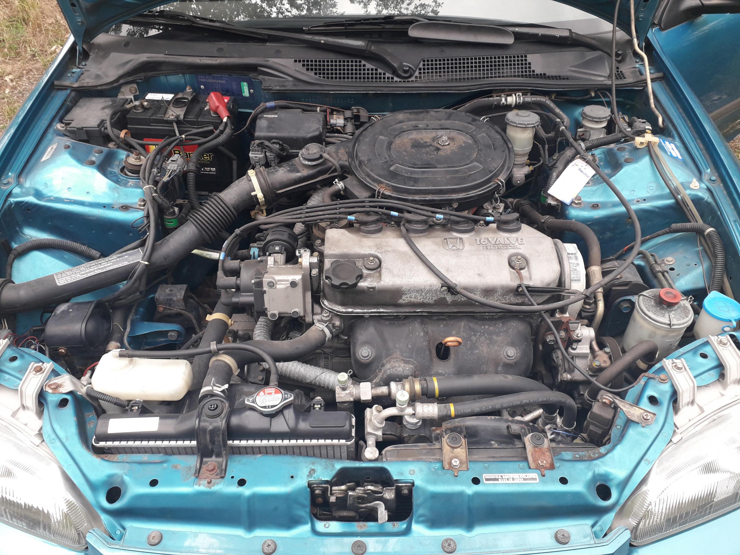20190616_160722.jpg