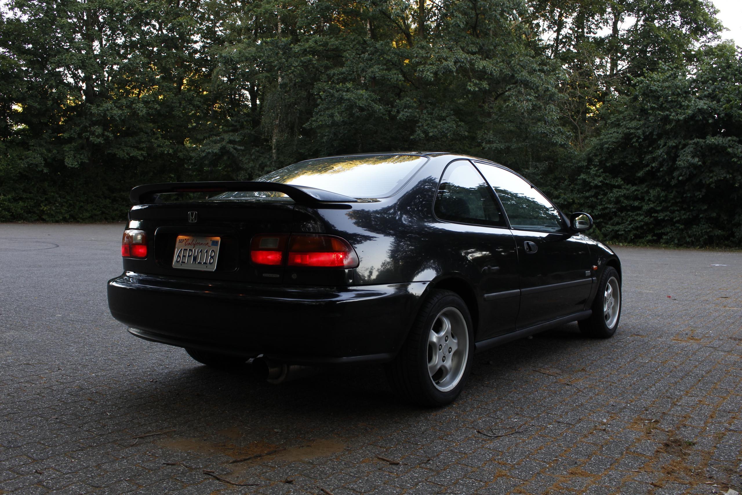 _MG_6661.JPG