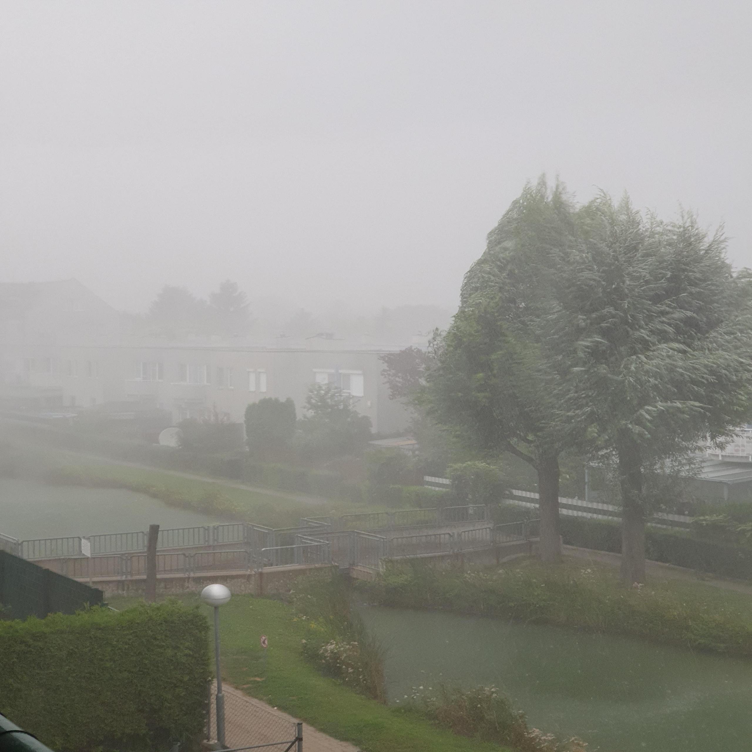 20190812_184006.jpg