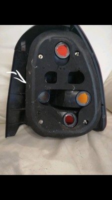 IMG_4778.PNG