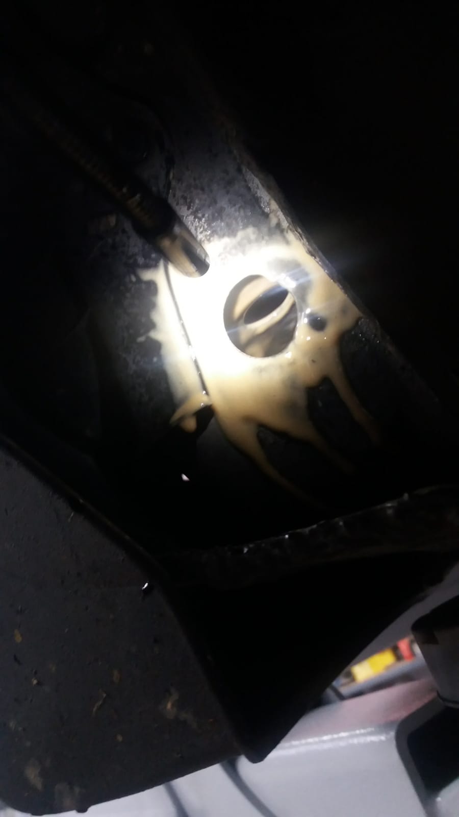 IMG-20190904-WA0020.jpg
