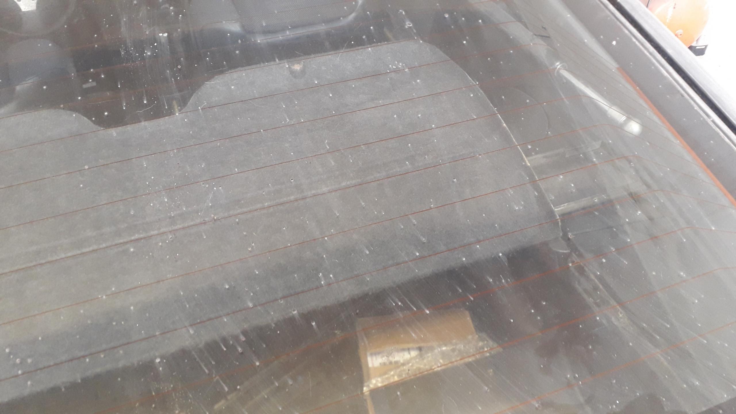 20200403_152809.jpg