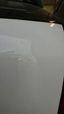 DSC_8424.JPG