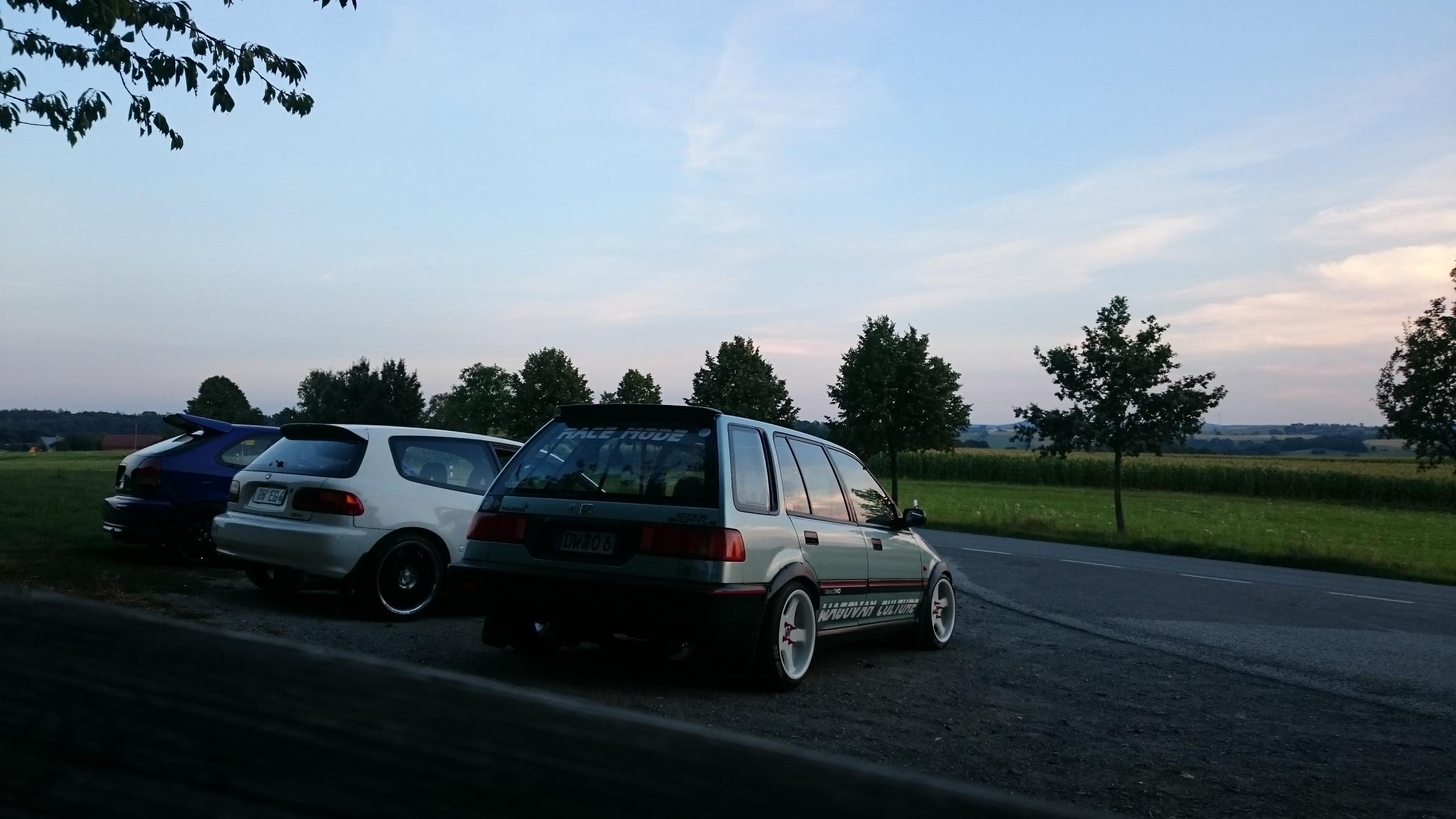 DSC_0513.JPG