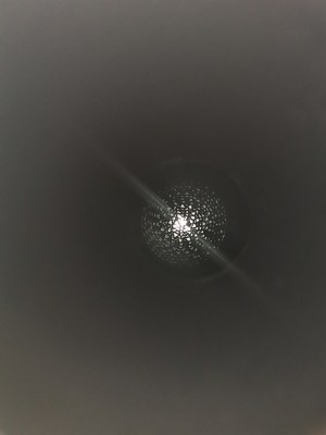 IMG_20200702_134741.jpg