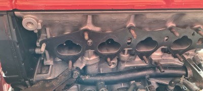 20201024_144818.jpg