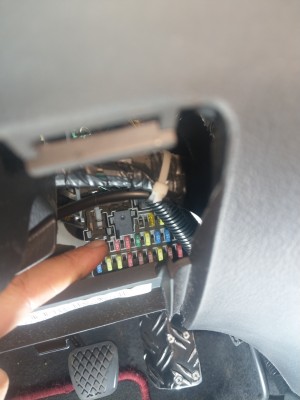 IMAG0976.jpg
