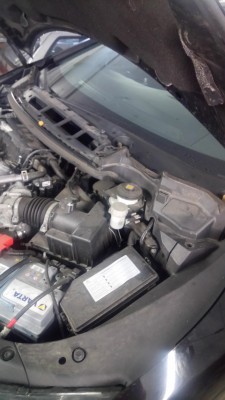 IMG-20201114-WA0027.jpeg