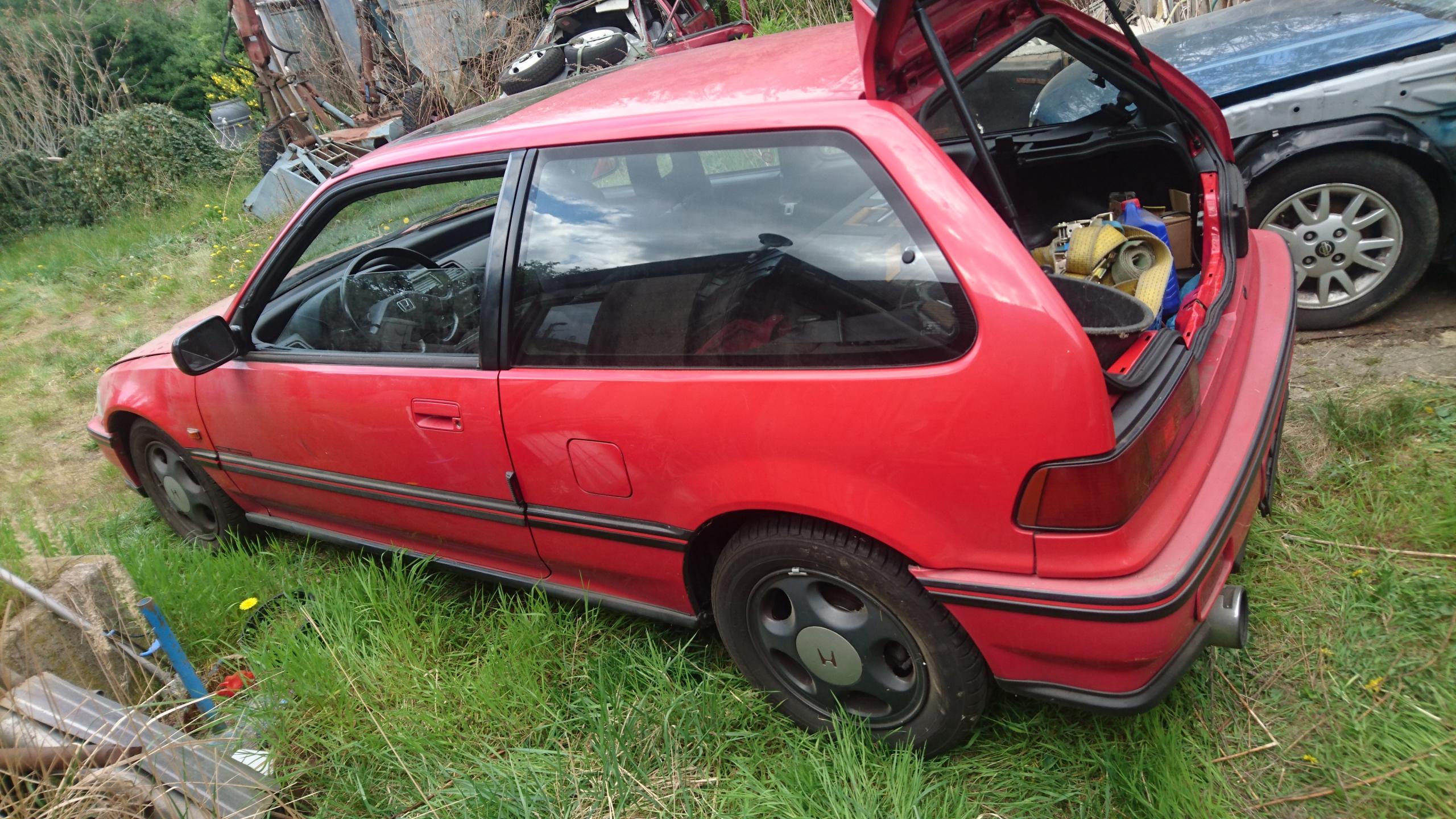 DSC_1329 - Kopie.JPG