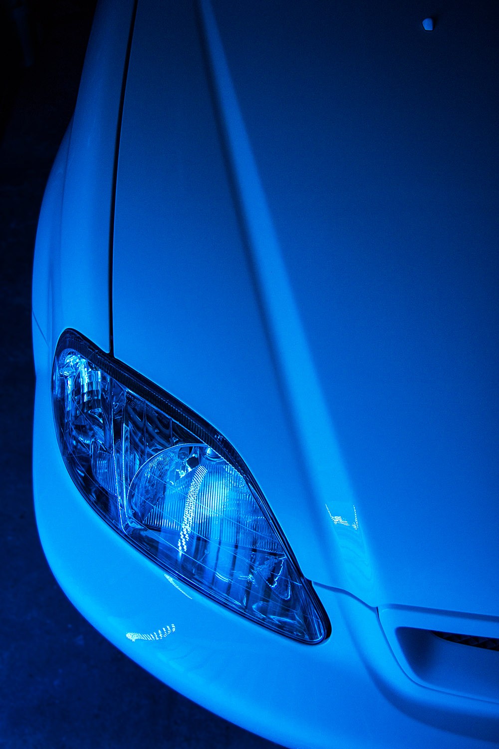 IMG_6560web.jpg