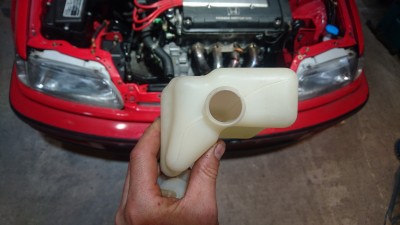 DSC_1556.JPG