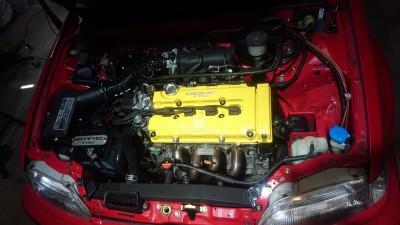 DSC_1837.JPG