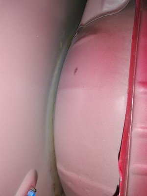 IMG_20201002_171832.jpg