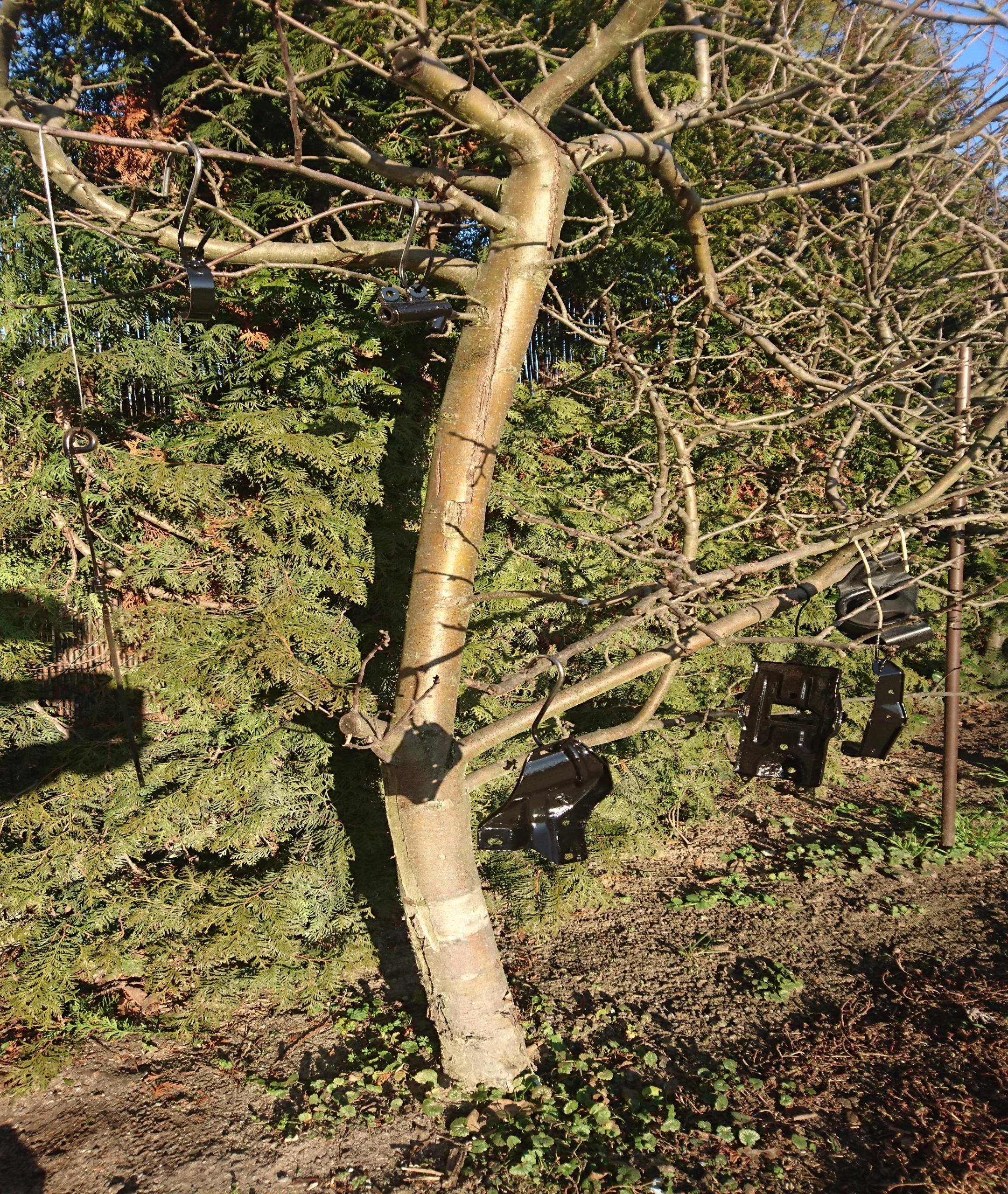 DSC_0485.JPG
