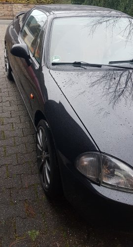 verkleinert2.jpg