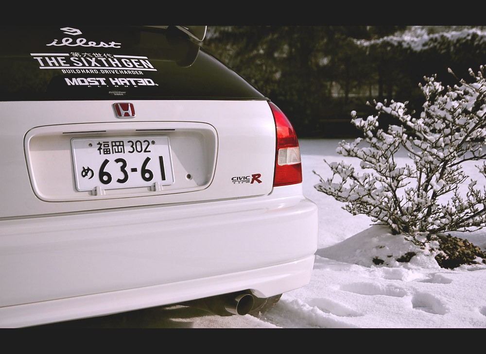 IMG_6718web.jpg