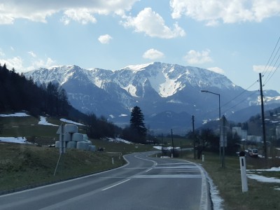 20210326_133956.jpg