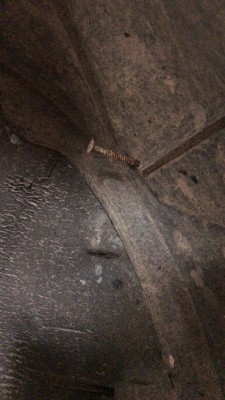 3AB33E53-1F42-4773-92AD-FF44BEFF8ADD.jpeg