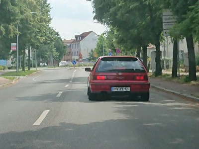 DSC_1667.JPG