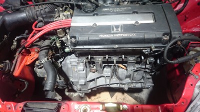 DSC_1462.JPG