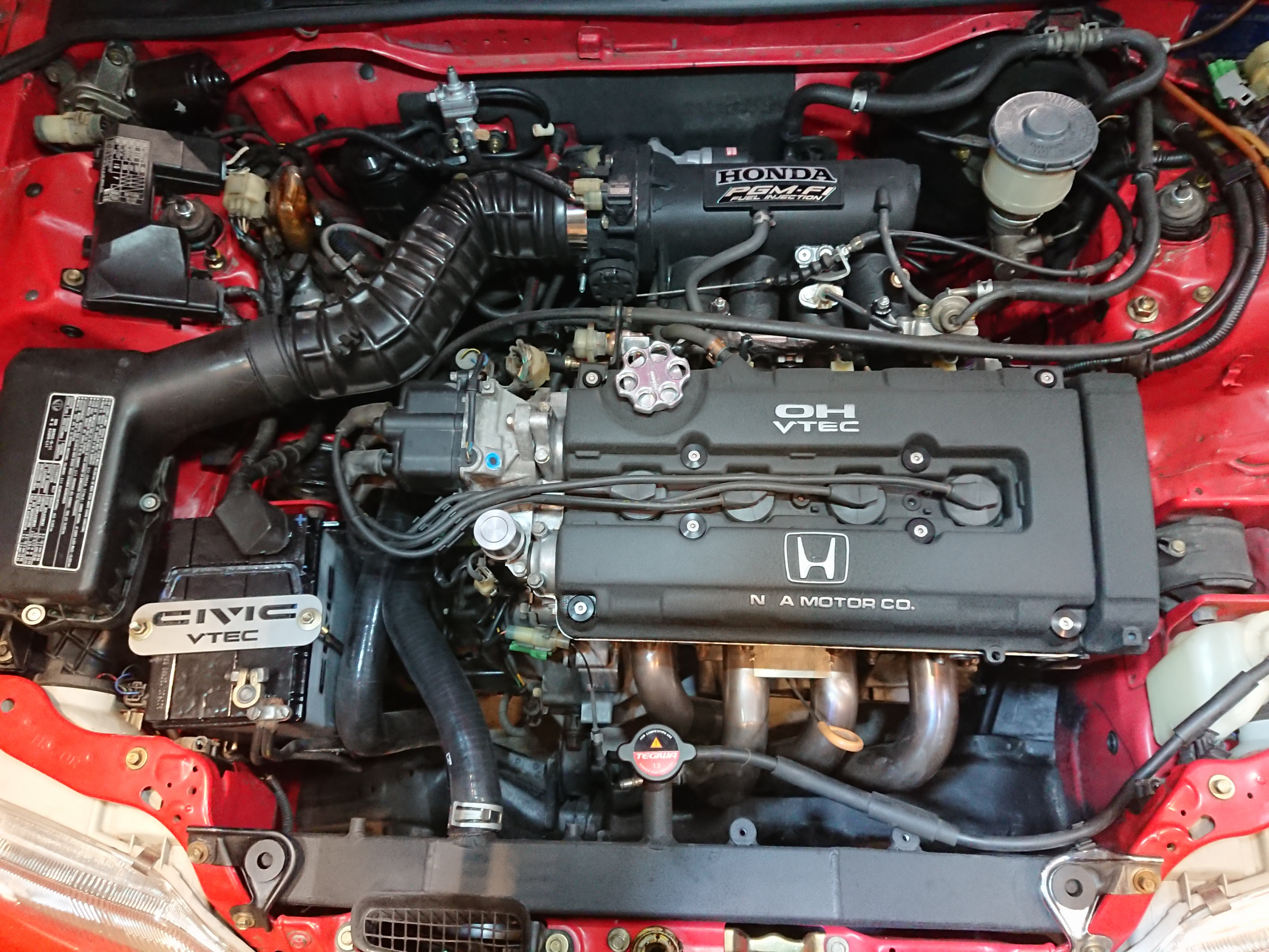 DSC_2505.JPG