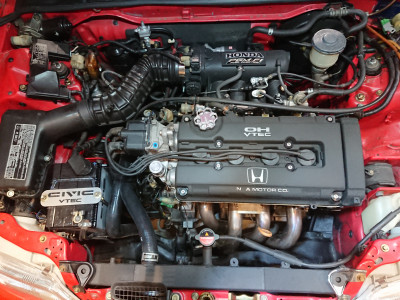 DSC_2505.JPG