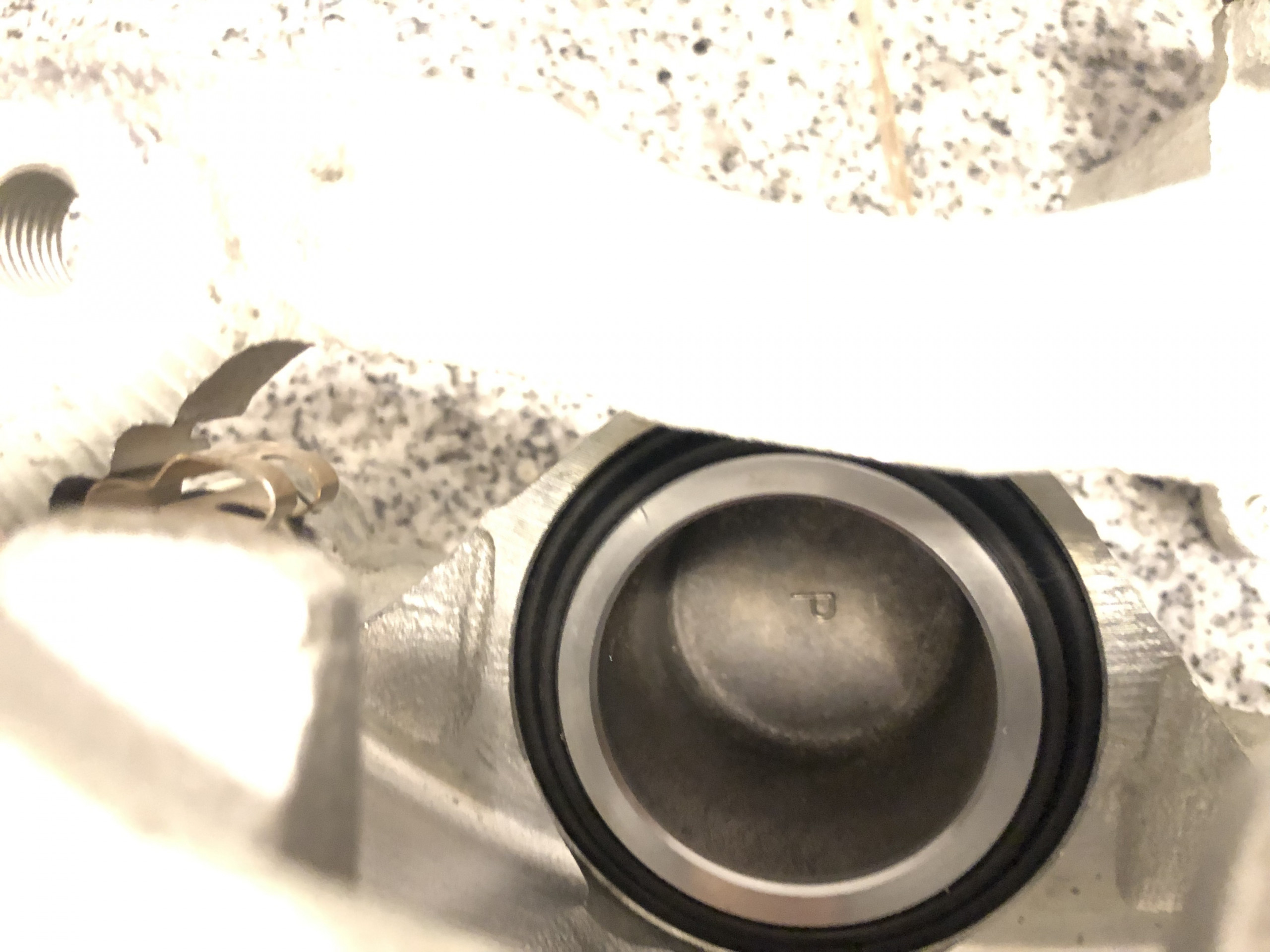 D21A748F-2BE7-4978-9C2E-2A07B7917471.jpeg