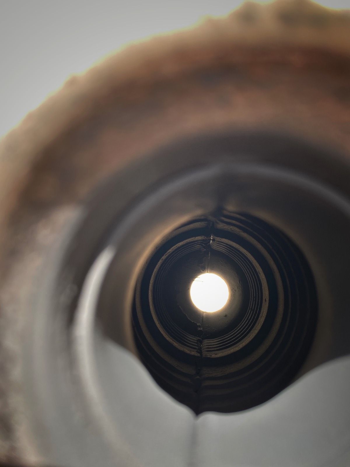 026950d6-57f6-42e4-90b8-2ca4f52efa61.jpeg