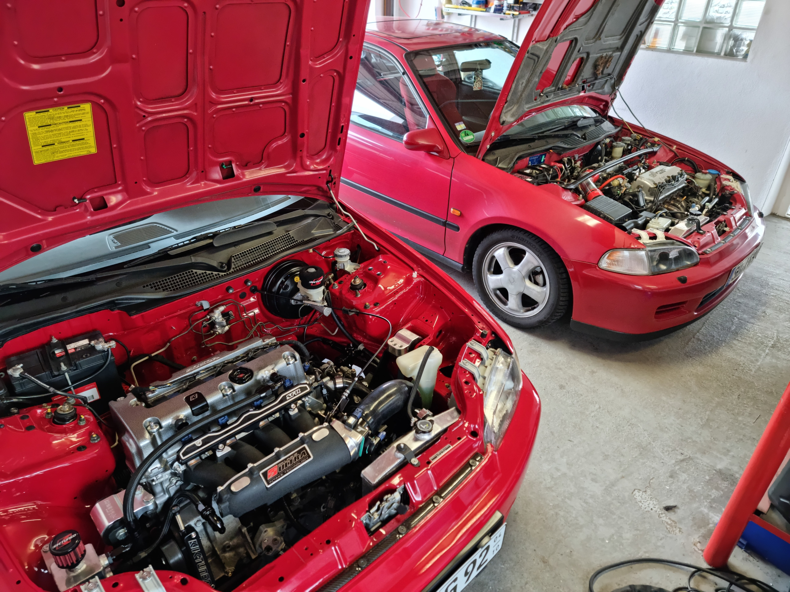 20230410_170552.jpg