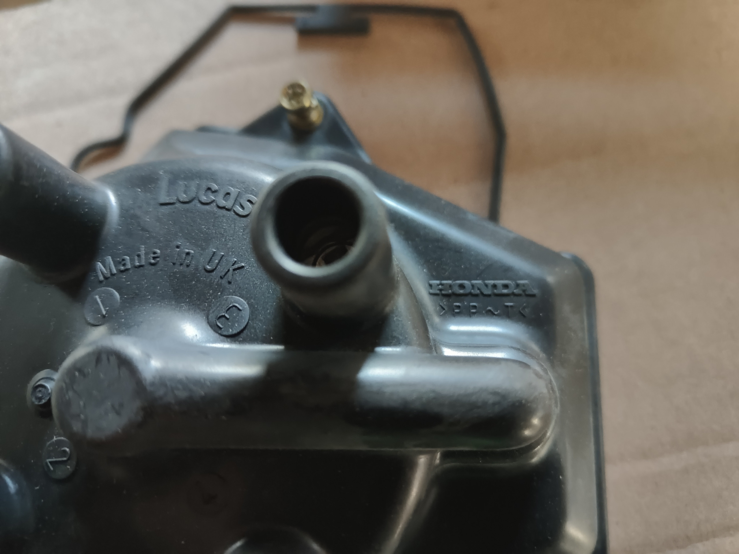 IMG20230409122017.jpg