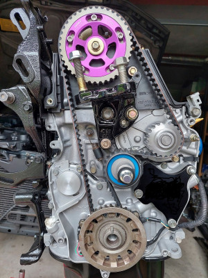 nwr26.jpg