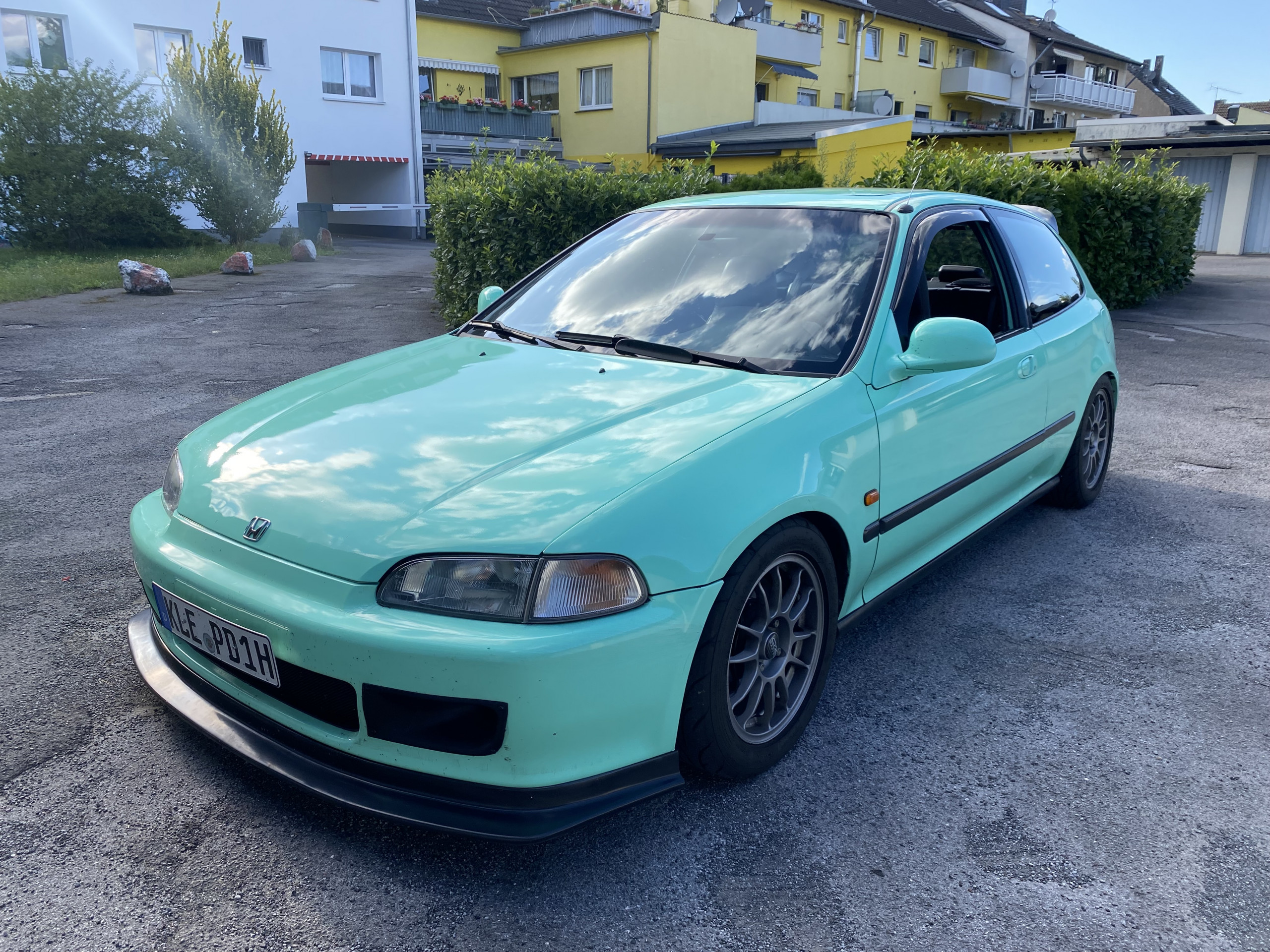 IMG_2483.jpeg
