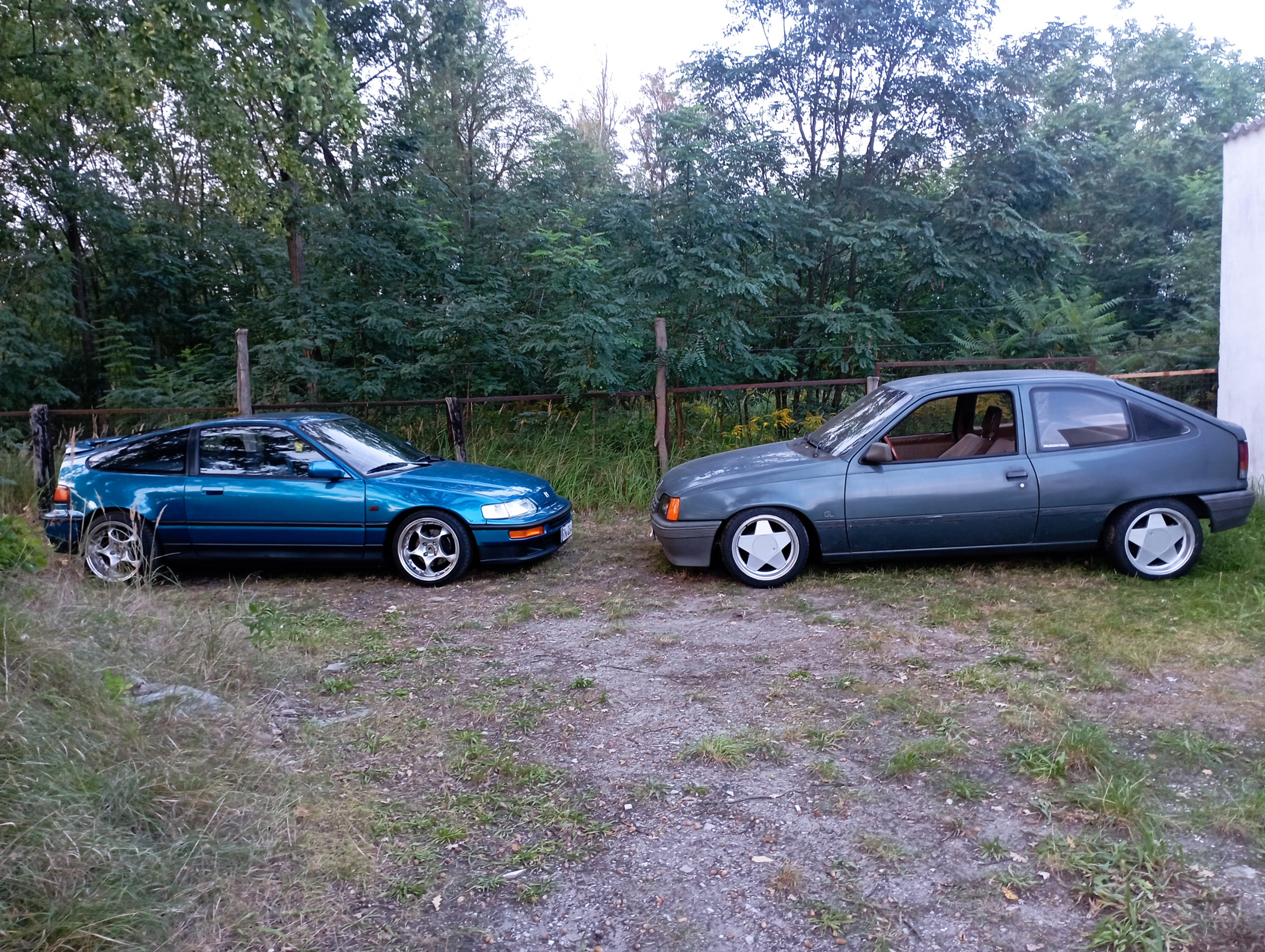 IMG_20230912_191905.jpg