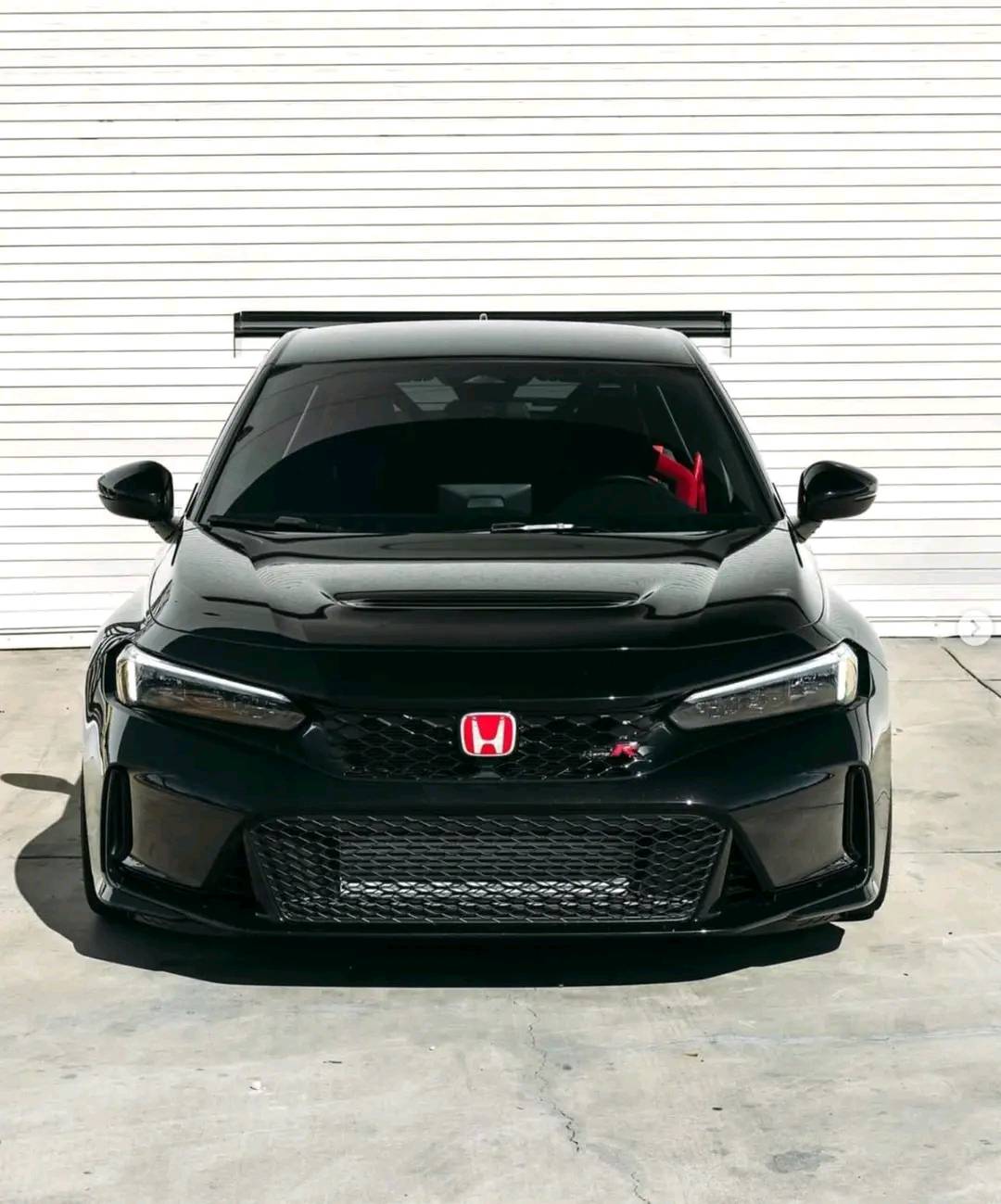 Black_FL5.jpg