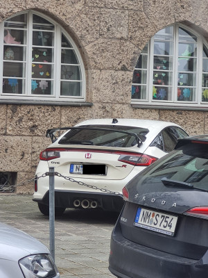 Spotted.jpg