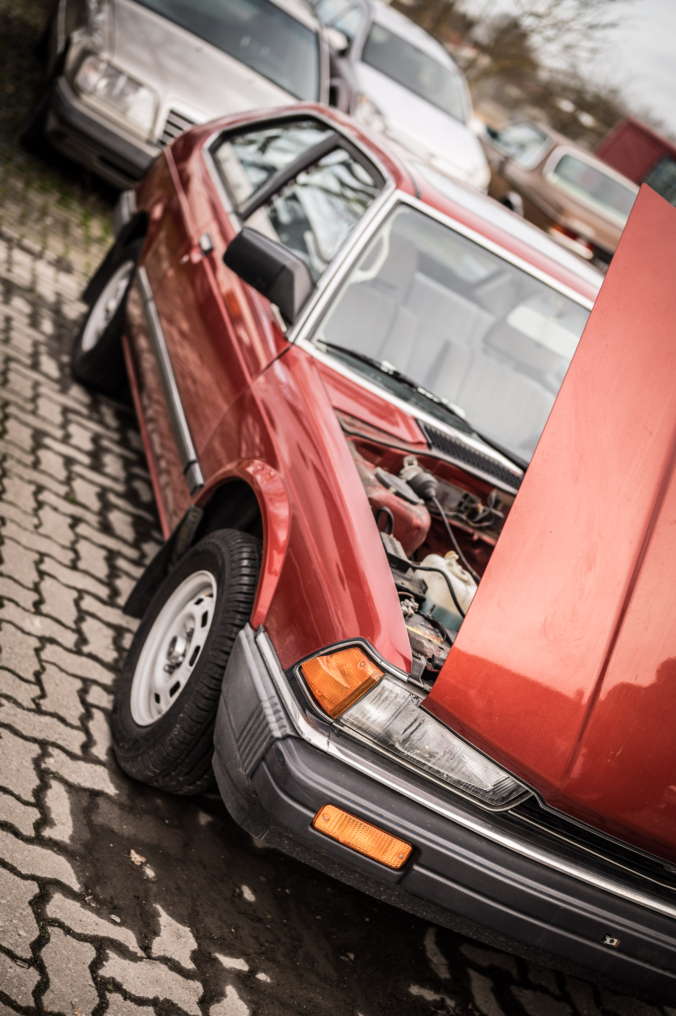 MUL_4686-r3-3016x4528.jpg