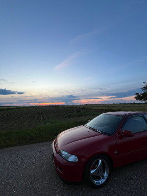 IMG_8720.jpeg