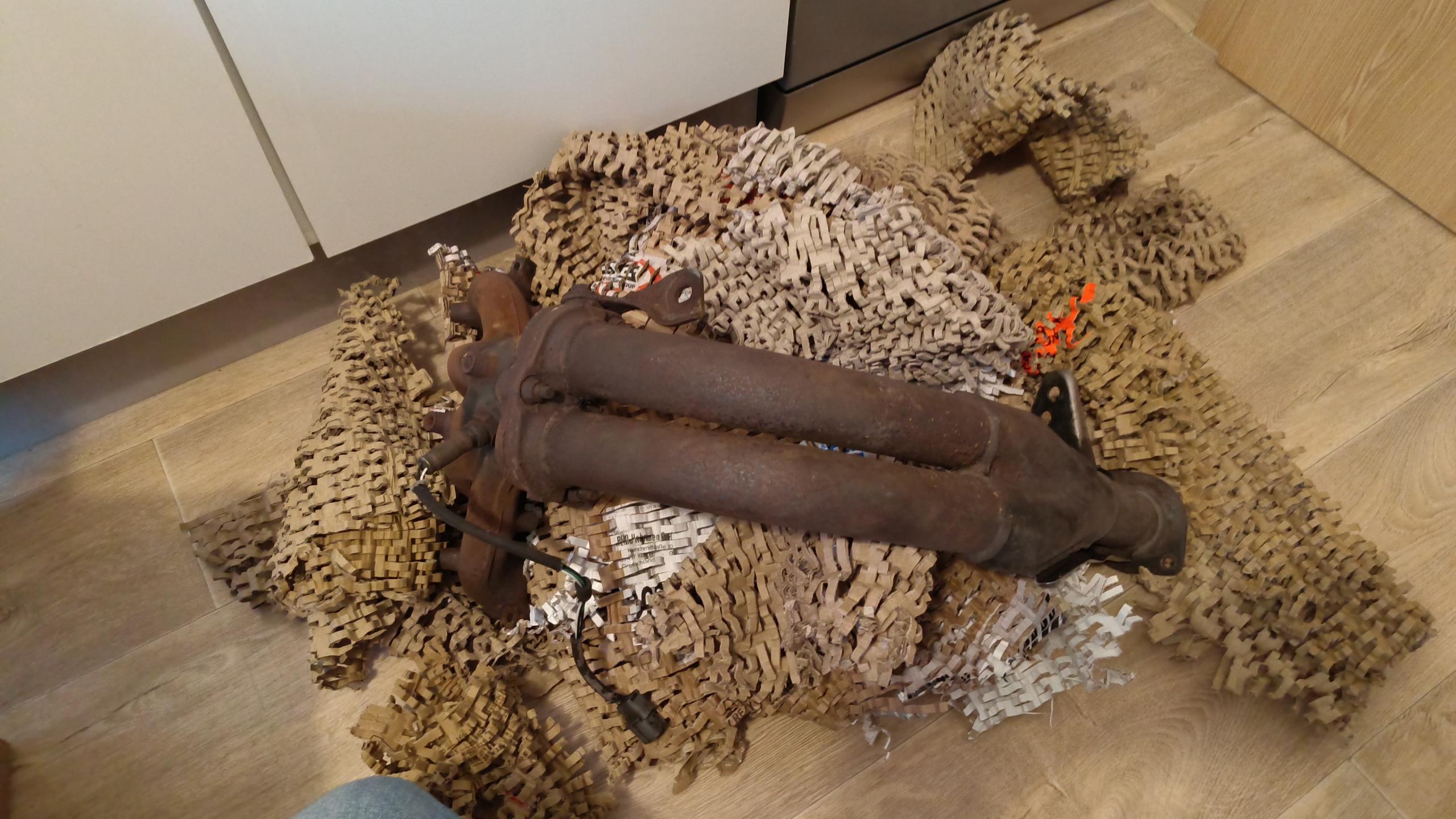 IMG-20250311-WA0012.jpeg