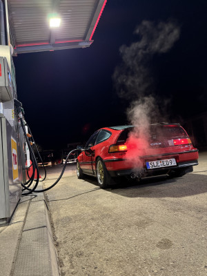 IMG_6809.jpeg