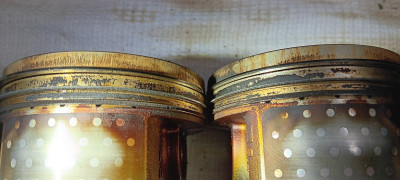 20250415_191307.jpg