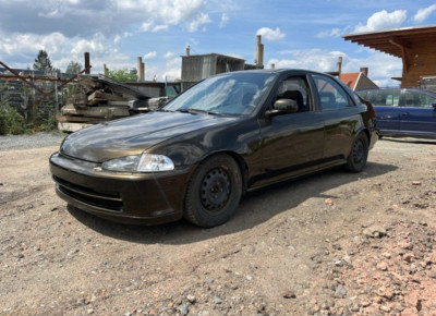 IMG_6901.jpeg