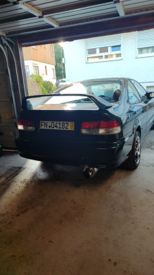 WhatsApp Image 2025-08-12 at 19.28.11.jpeg