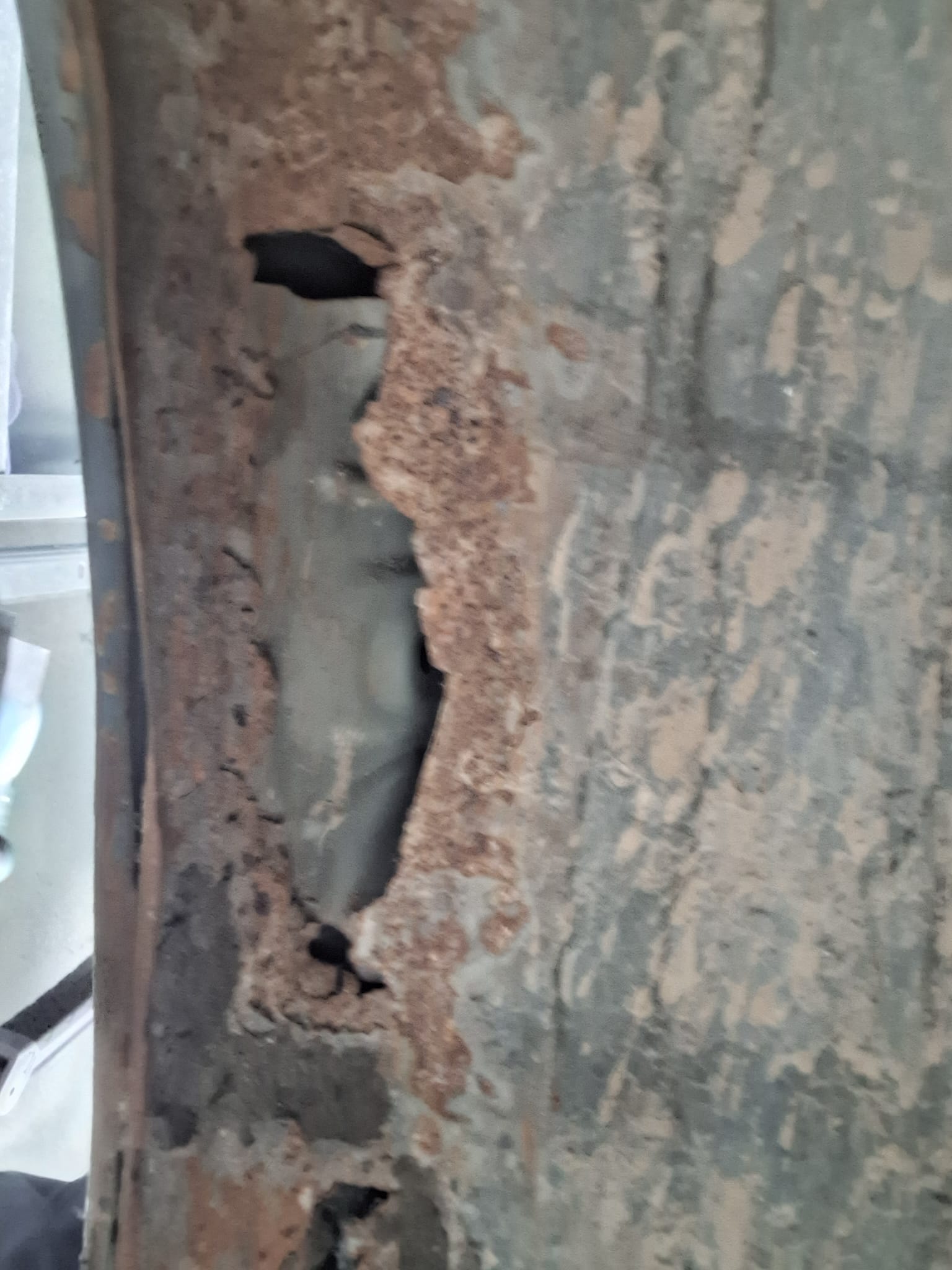 WhatsApp Image 2025-10-21 at 16.59.35.jpeg