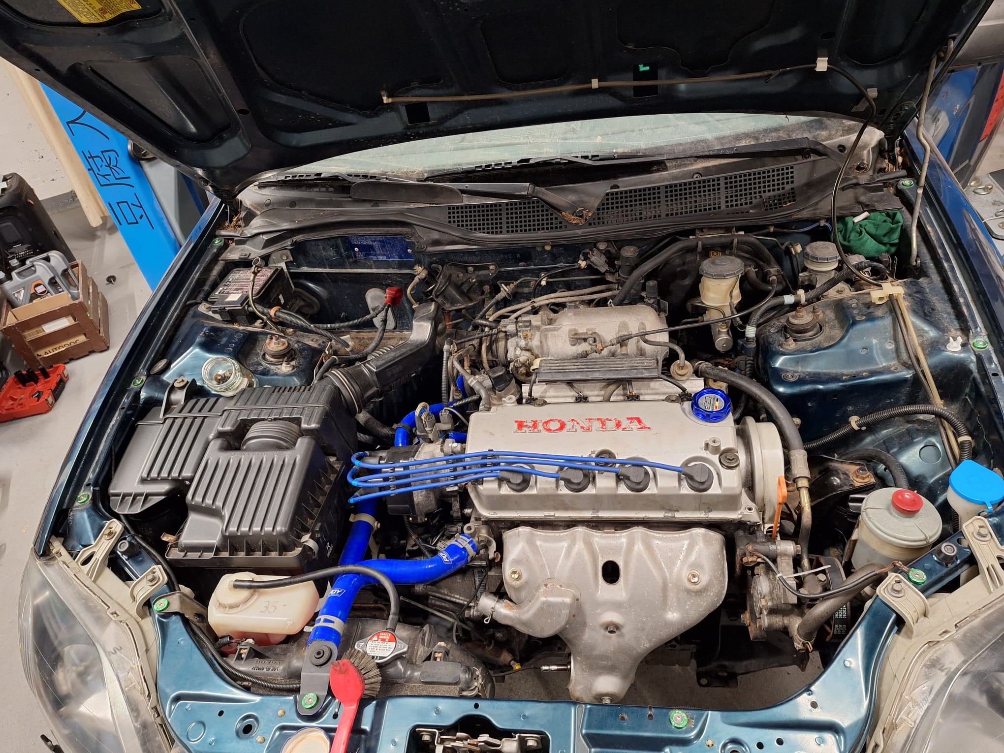 WhatsApp Image 2025-11-24 at 18.24.13.jpeg