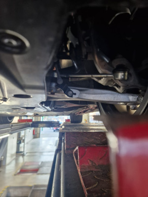 WhatsApp Image 2026-03-10 at 13.07.49 (1).jpeg